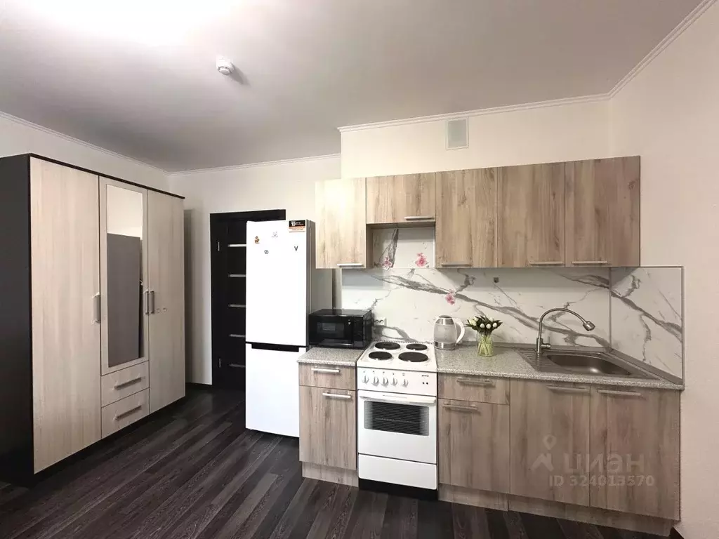 Студия Ленинградская область, Мурино Всеволожский район, просп. ... - Фото 2