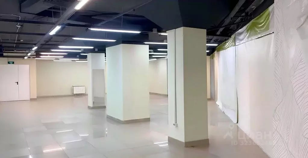 Торговая площадь в Воронежская область, Воронеж Ленинский просп., 174П ... - Фото 2