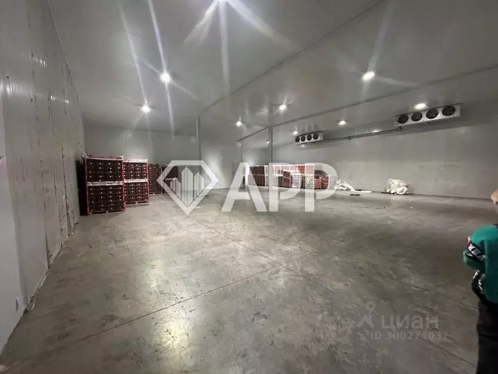 Склад в Краснодарский край, Новороссийск городской округ, с. ... - Фото 2