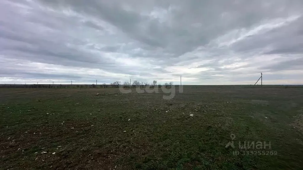 Участок в Крым, Черноморский район, с. Окуневка  (428.73 сот.) - Фото 2