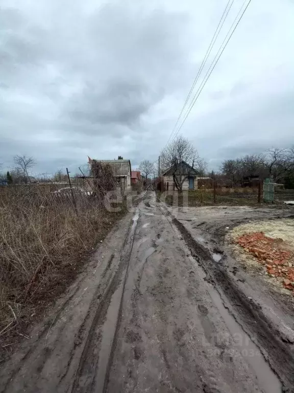 Участок в Воронежская область, Воронеж Путь Мичурина ДНТ, ул. Грушовая ... - Фото 1