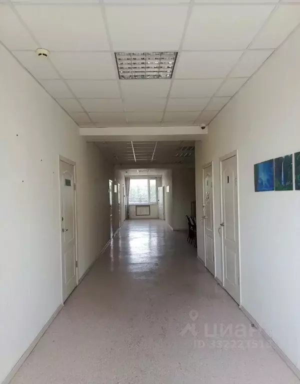 Офис в Новосибирская область, Бердск ул. Ленина, 89/6 (12 м) - Фото 1