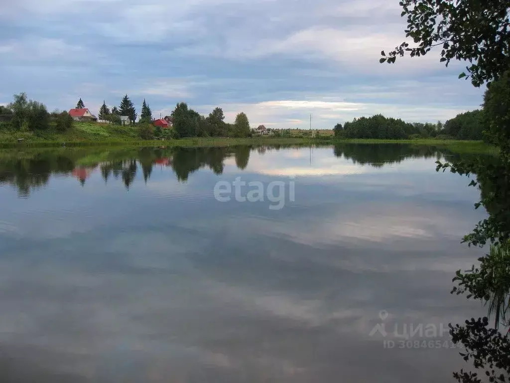 Участок в Псковская область, Печорский муниципальный округ, д. Калки ... - Фото 1