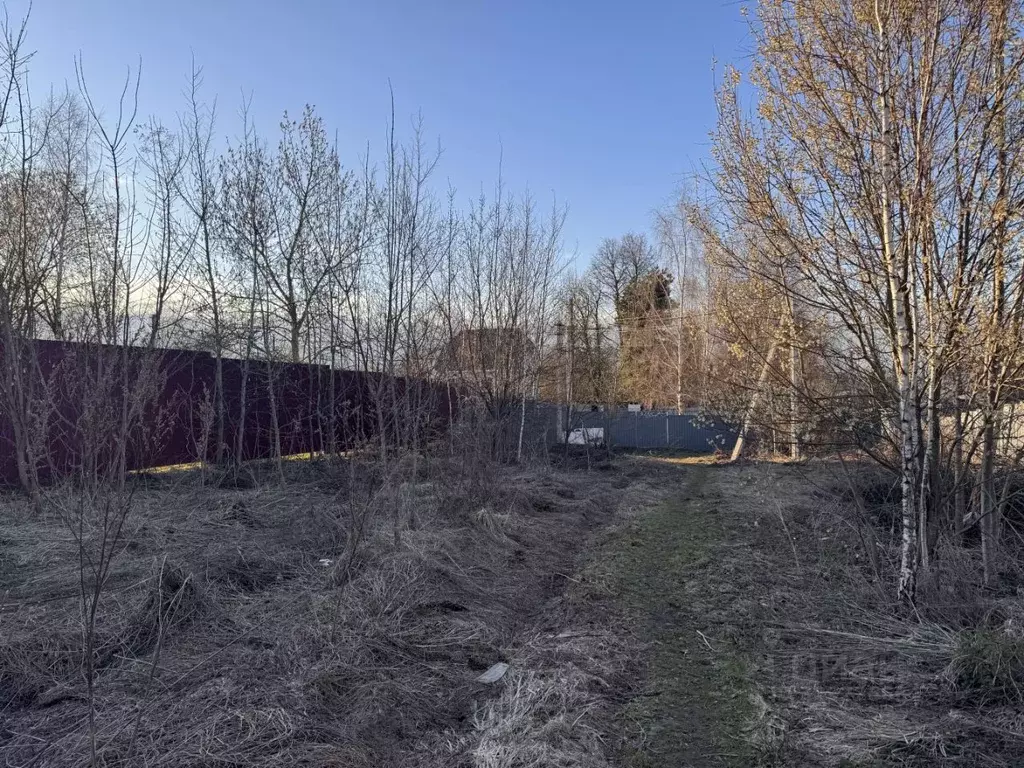 Участок в Московская область, Чехов муниципальный округ, с. Новоселки  ... - Фото 1