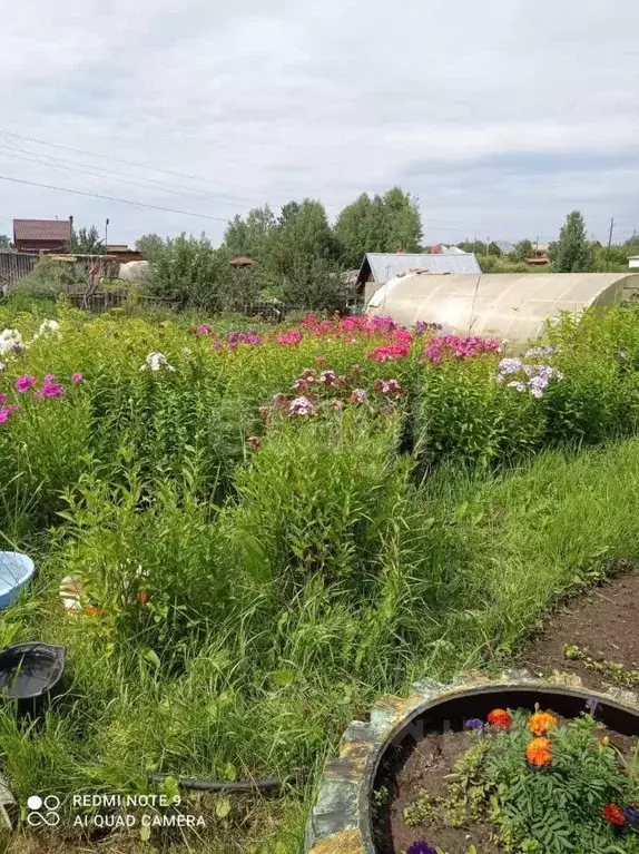 Дом в Томская область, Томск с. Дзержинское, Логовая ул. (34 м) - Фото 2