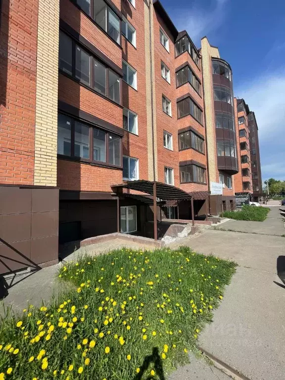 Помещение свободного назначения в Хакасия, Черногорск просп. ... - Фото 0