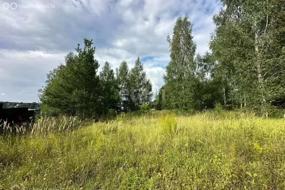 Участок в Нижегородская область, Тонкинский муниципальный округ, село ... - Фото 0