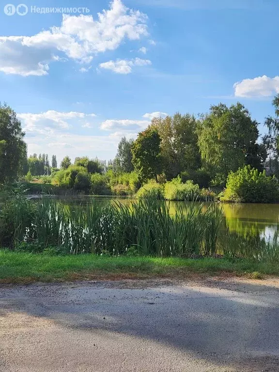 Участок в Красное, Красноармейская улица, 2Б (1 м) - Фото 1