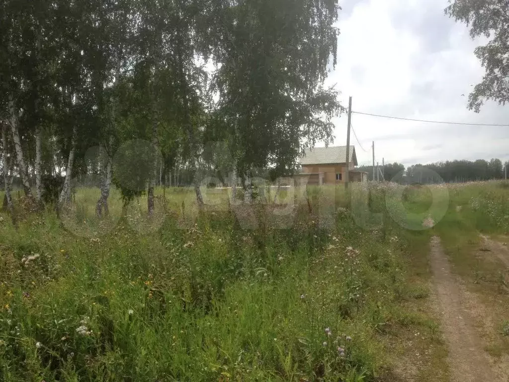 Участок 12 сот. (СНТ, ДНП) - Фото 1