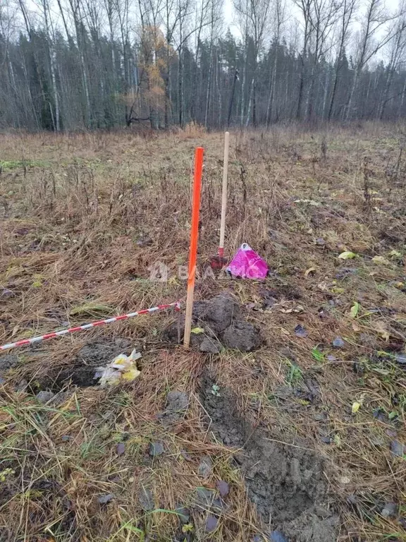 Участок в Ленинградская область, Выборгский район, Каменногорское ... - Фото 2