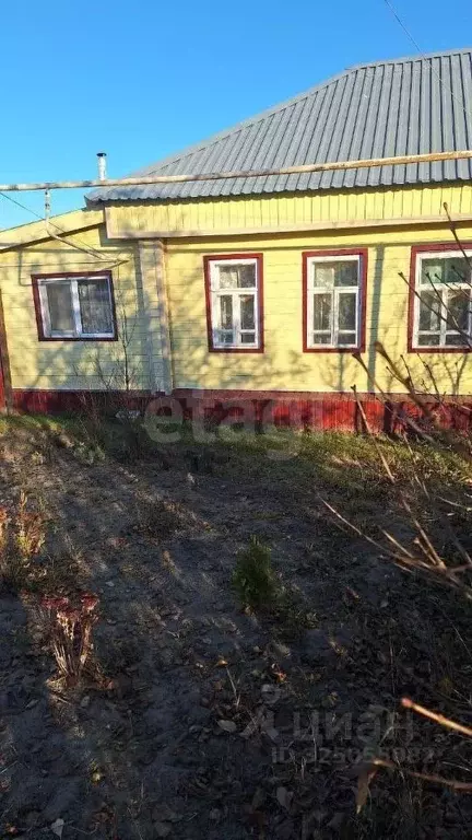 Дом в Мордовия, с. Большие Березники ул. Карла Маркса, 51 (60 м) - Фото 2