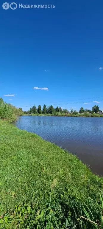 Участок в Емельяновский район, Элитовский сельсовет, садоводческое ... - Фото 0