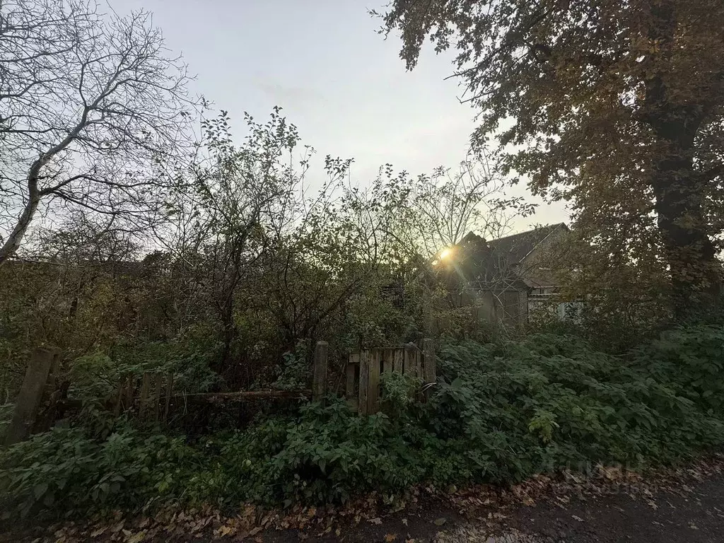 Участок в Калининградская область, Калининград Ромашка СНТ, ул. ... - Фото 1