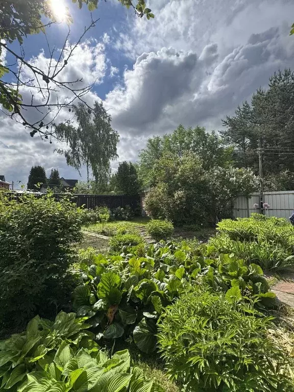 Участок в Московская область, Одинцовский городской округ, д. ... - Фото 1
