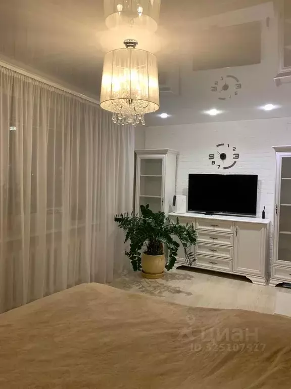 2-к кв. Псковская область, Псковский район, Завеличенская волость, д. ... - Фото 2