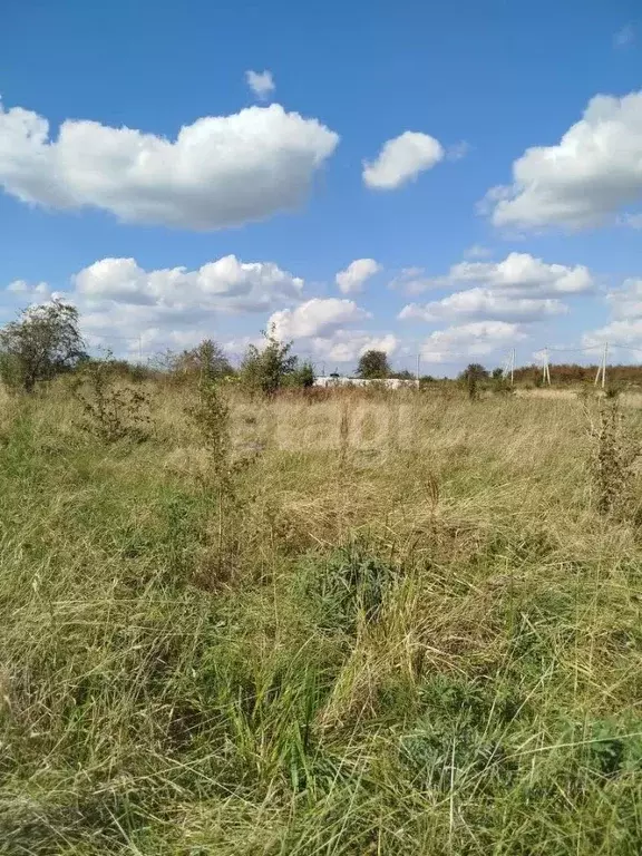 Участок в Калининградская область, Гурьевский муниципальный округ, ... - Фото 1