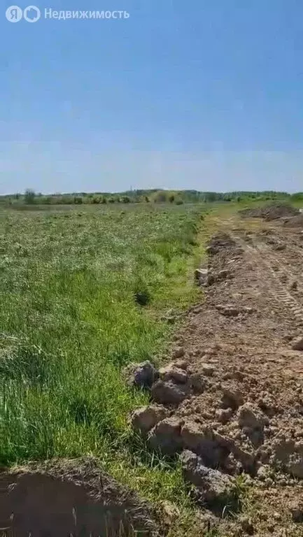 Участок в Калининградская область, Гурьевский муниципальный округ, ... - Фото 0