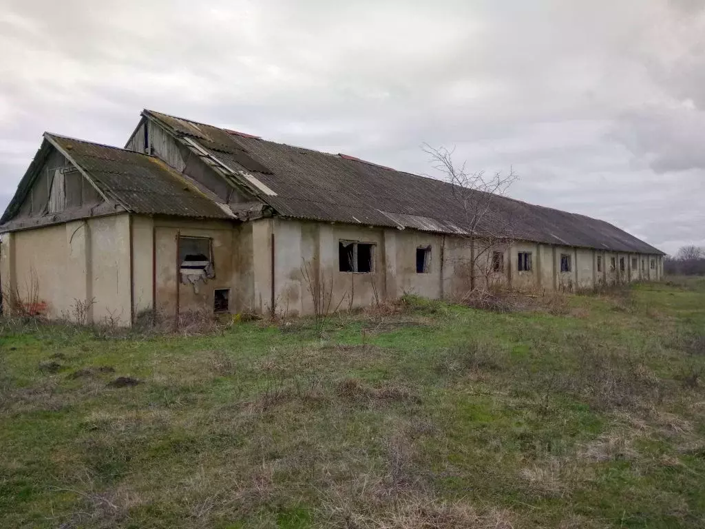 Помещение свободного назначения в Краснодарский край, Тбилисский ... - Фото 1