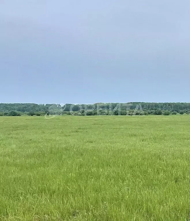 Участок, 270 сот., 0 - Фото 0