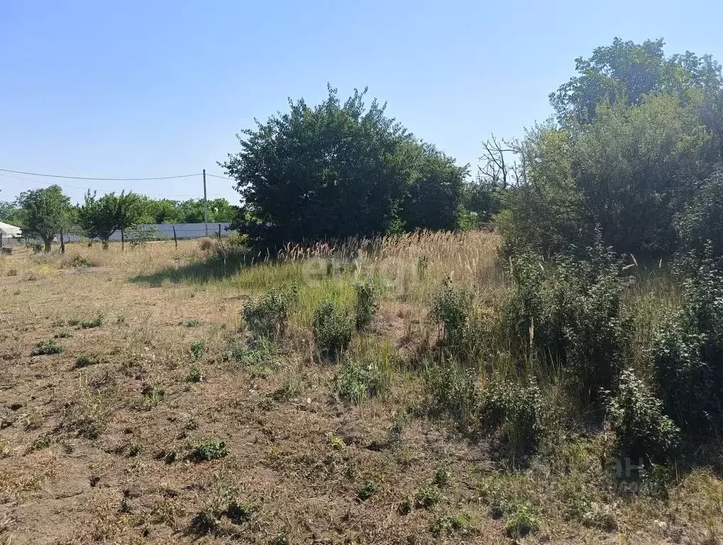 Участок в Краснодарский край, Ейск Виктория СНТ,  (5.0 сот.) - Фото 1