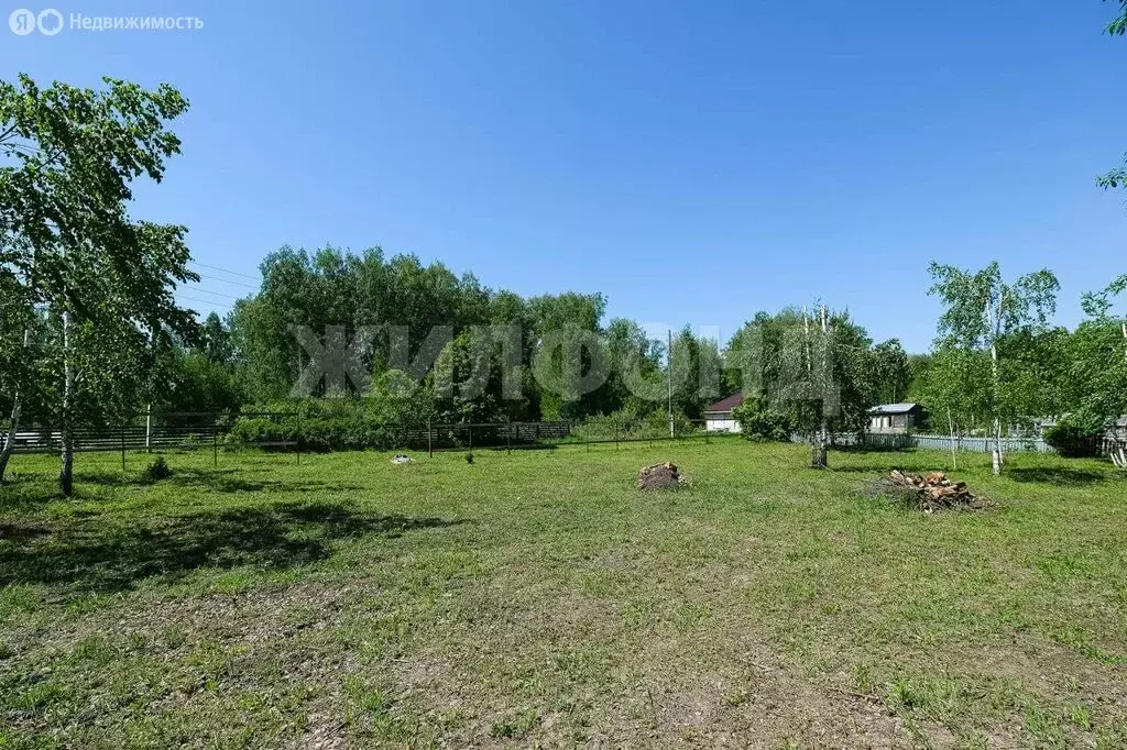 Участок в Искитимский район, село Морозово (10 м) - Фото 1