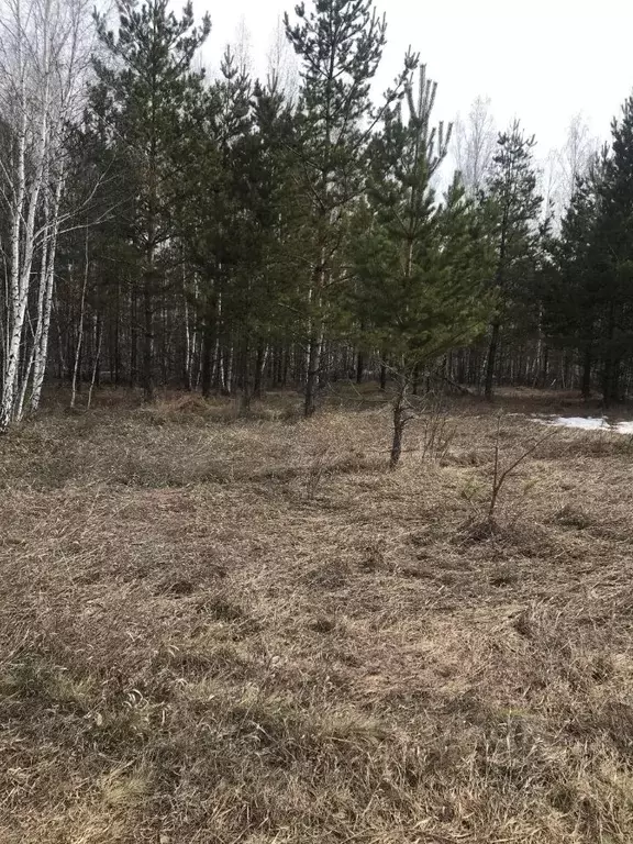 Участок в Курганская область, Курган Лагуна кп,  (8.0 сот.) - Фото 2