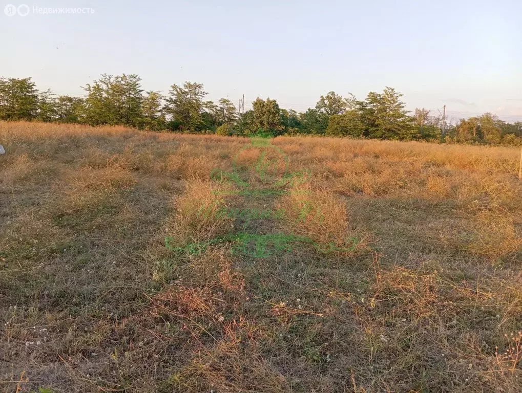 Участок в село Экономическое, Железнодорожная улица (10 м) - Фото 1
