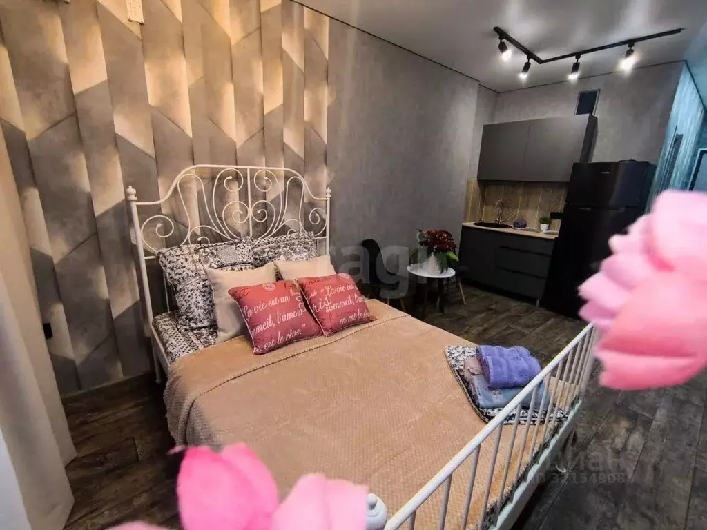 Студия Ростовская область, Ростов-на-Дону Привокзальная ул., 3/1 (29.0 ... - Фото 0