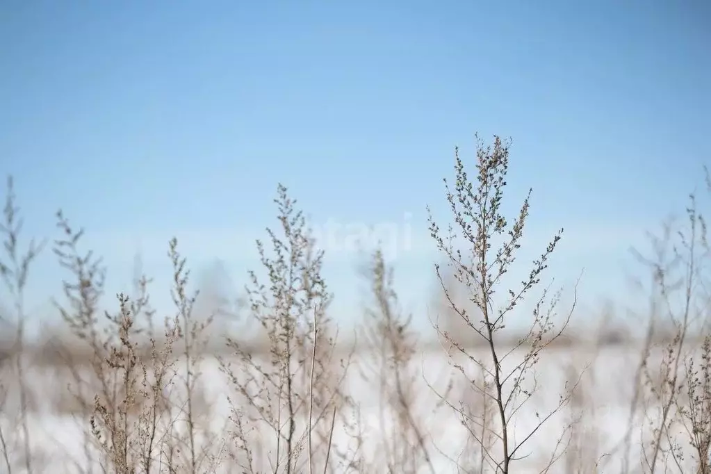 Участок в Пензенская область, с. Бессоновка  (10.0 сот.) - Фото 1