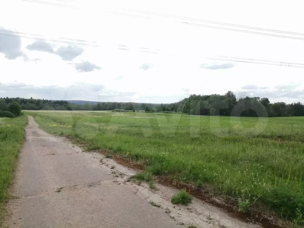 Участок 52,39 га (СНТ, ДНП) - Фото 1