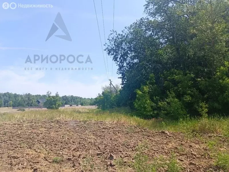 Участок в хутор Ямы, Продольная улица (15 м) - Фото 0