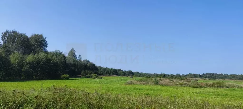 Участок в Новгородская область, Шимский район, Подгощское с/пос, с. ... - Фото 1