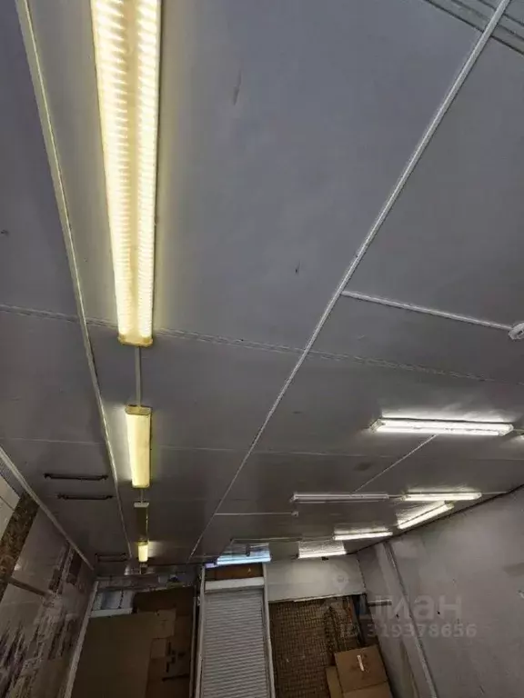 Помещение свободного назначения в Татарстан, Набережные Челны ... - Фото 2