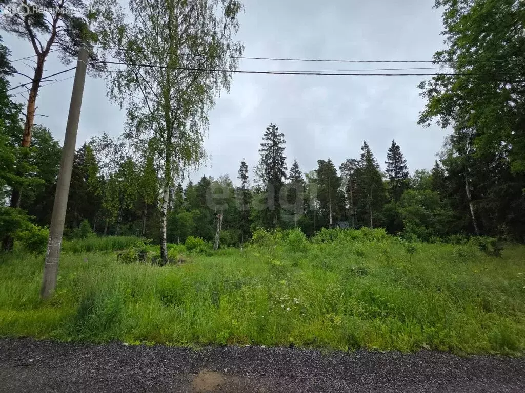 Участок в Марфино, ДНП Лысково, Дачная улица (12 м) - Фото 0