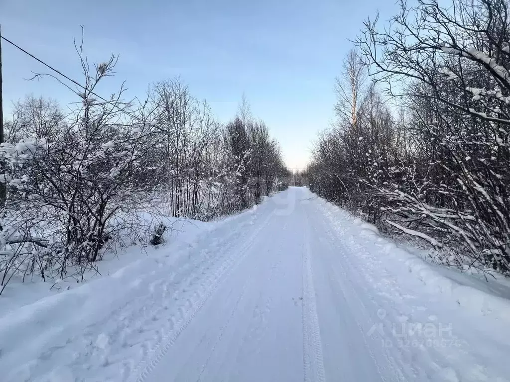 Участок в Архангельская область, Архангельск пос. Цигломень, ул. ... - Фото 1