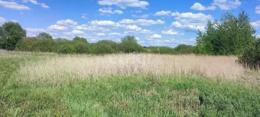 Участок в Воронежская область, с. Новая Усмань ул. Крамского, 1 (8.0 ... - Фото 0