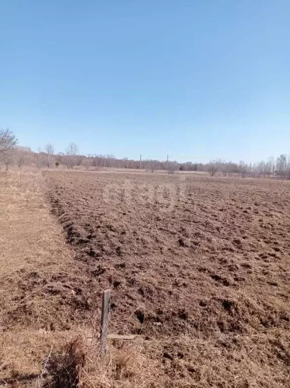 Участок в Амурская область, Благовещенский район, с. Новопетровка  ... - Фото 0