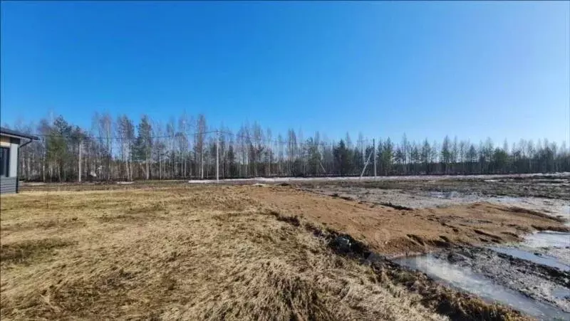 Участок в Ленинградская область, Всеволожское городское поселение, ... - Фото 1