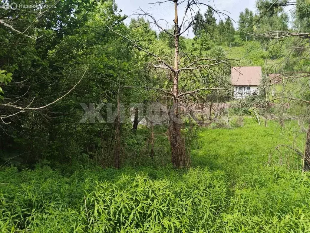 Участок в Брянск, СТ Рассвет-2 (8 м) - Фото 1