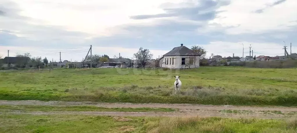 Участок в Крым, Ленинский район, Мысовское с/пос, с. Семеновка ул. ... - Фото 1