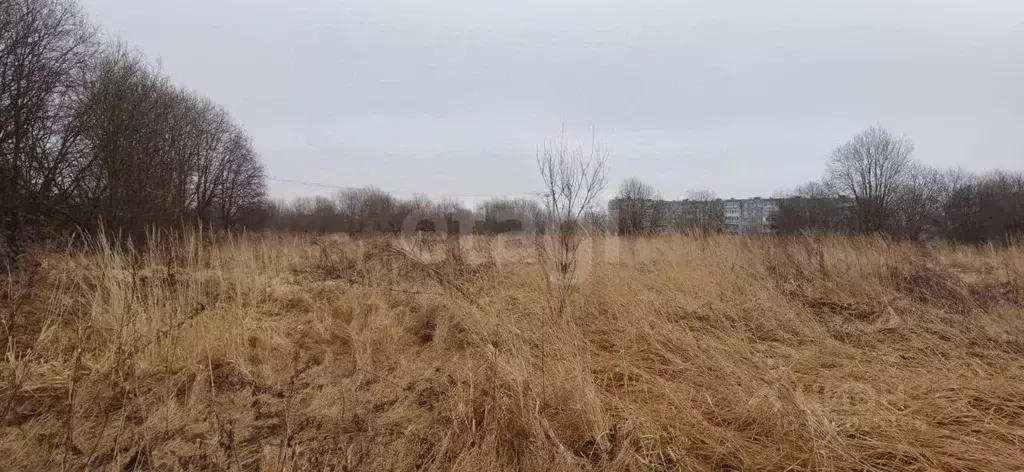 Участок в Вологодская область, Шекснинский муниципальный округ, д. ... - Фото 1