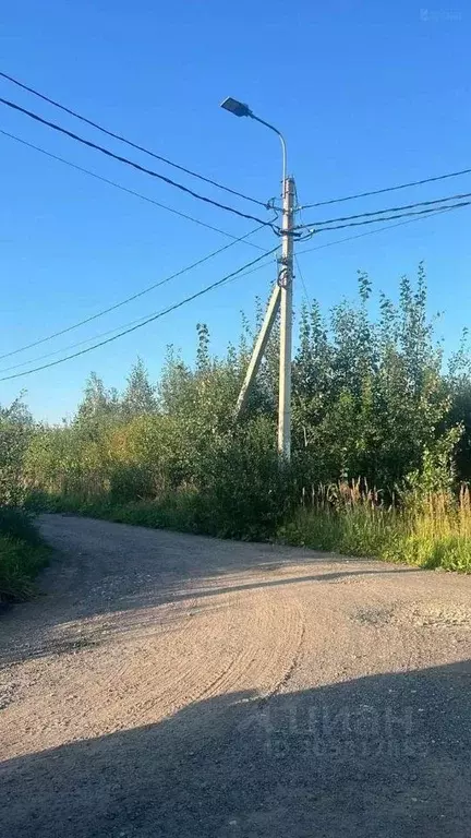 Участок в Санкт-Петербург, Санкт-Петербург, Петергоф ш. Ольгинское, 18 ... - Фото 1