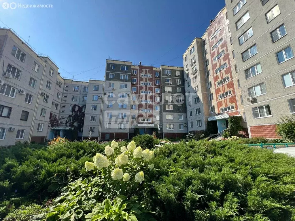 3-комнатная квартира: Чебаркуль, посёлок Санаторий Кисегач, 20 (65.2 ... - Фото 2