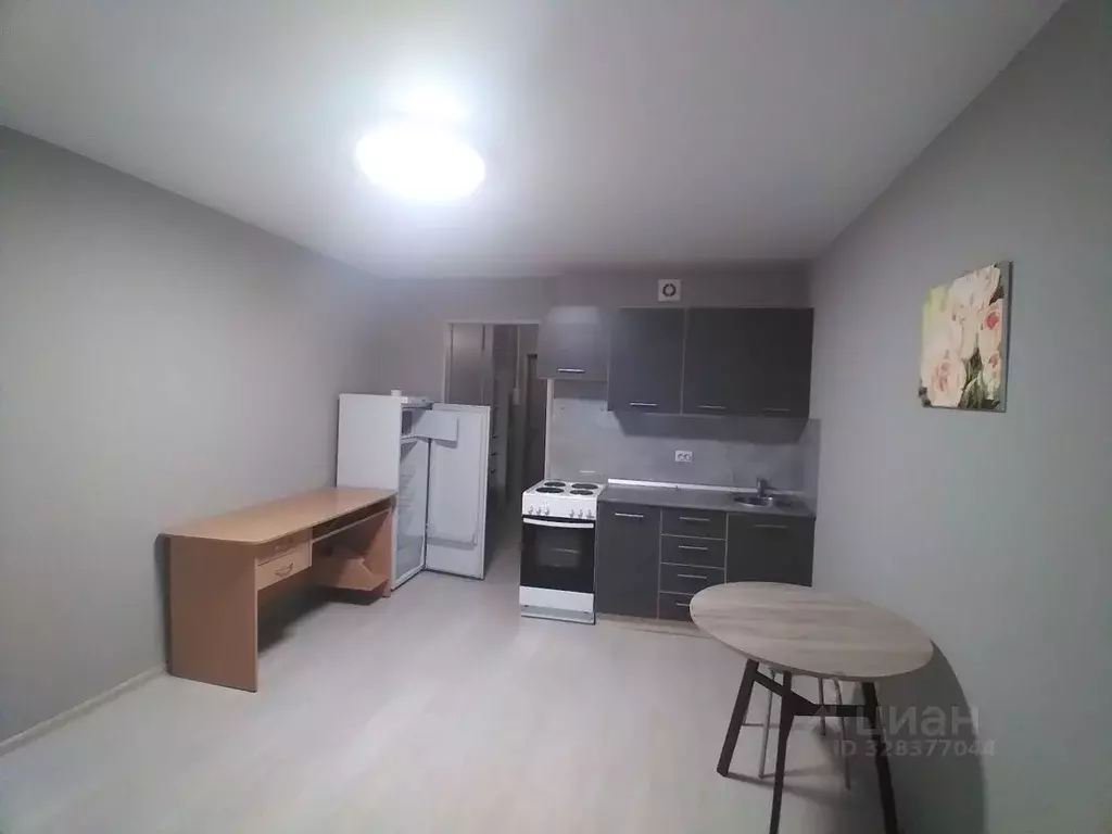 Студия Удмуртия, Ижевск Клубная ул., 21 (27.0 м) - Фото 2