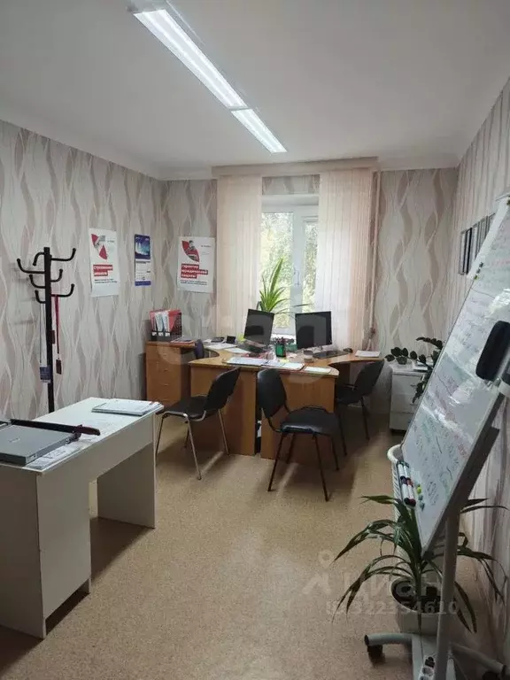 Офис в Ямало-Ненецкий АО, Муравленко ул. Губкина, 26 (54 м) - Фото 1