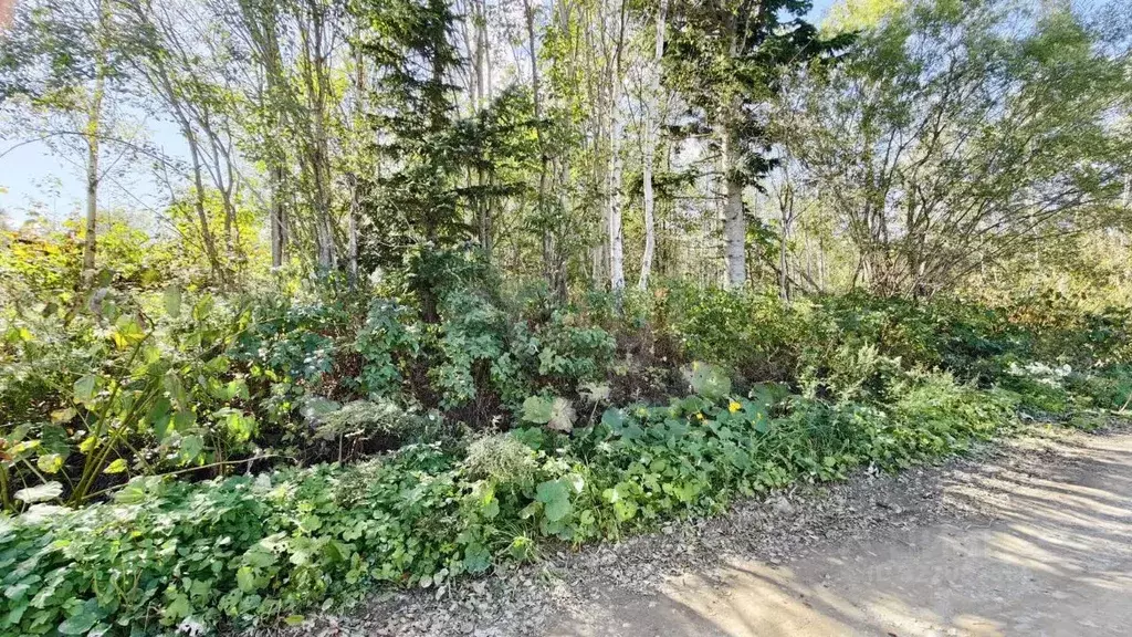 Участок в Сахалинская область, Южно-Сахалинск  (9.98 сот.) - Фото 2