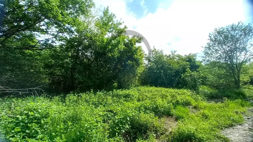 Участок в Краснодарский край, Хадыженск Апшеронский район, ул. ... - Фото 2