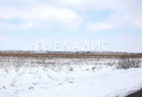 Участок в Тамбовская область, Тамбовский муниципальный округ, д. ... - Фото 1