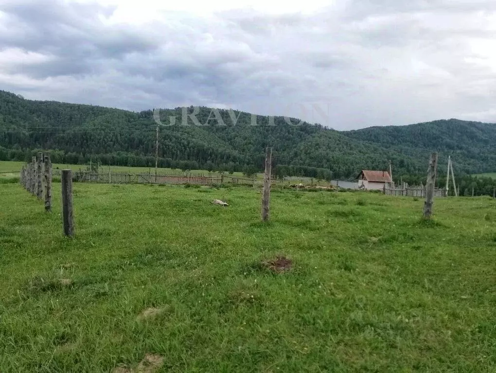Участок в Алтай, Усть-Коксинский район, с. Власьево Родниковая ул. ... - Фото 1