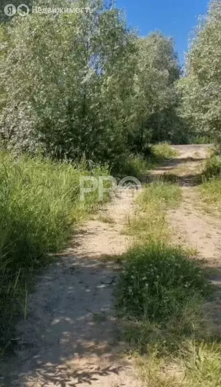 Участок в Ярославль, 1-я Краснохолмская улица (5.6 м) - Фото 2